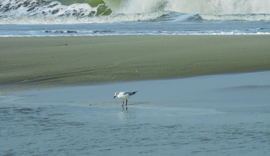 playa