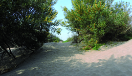 medano